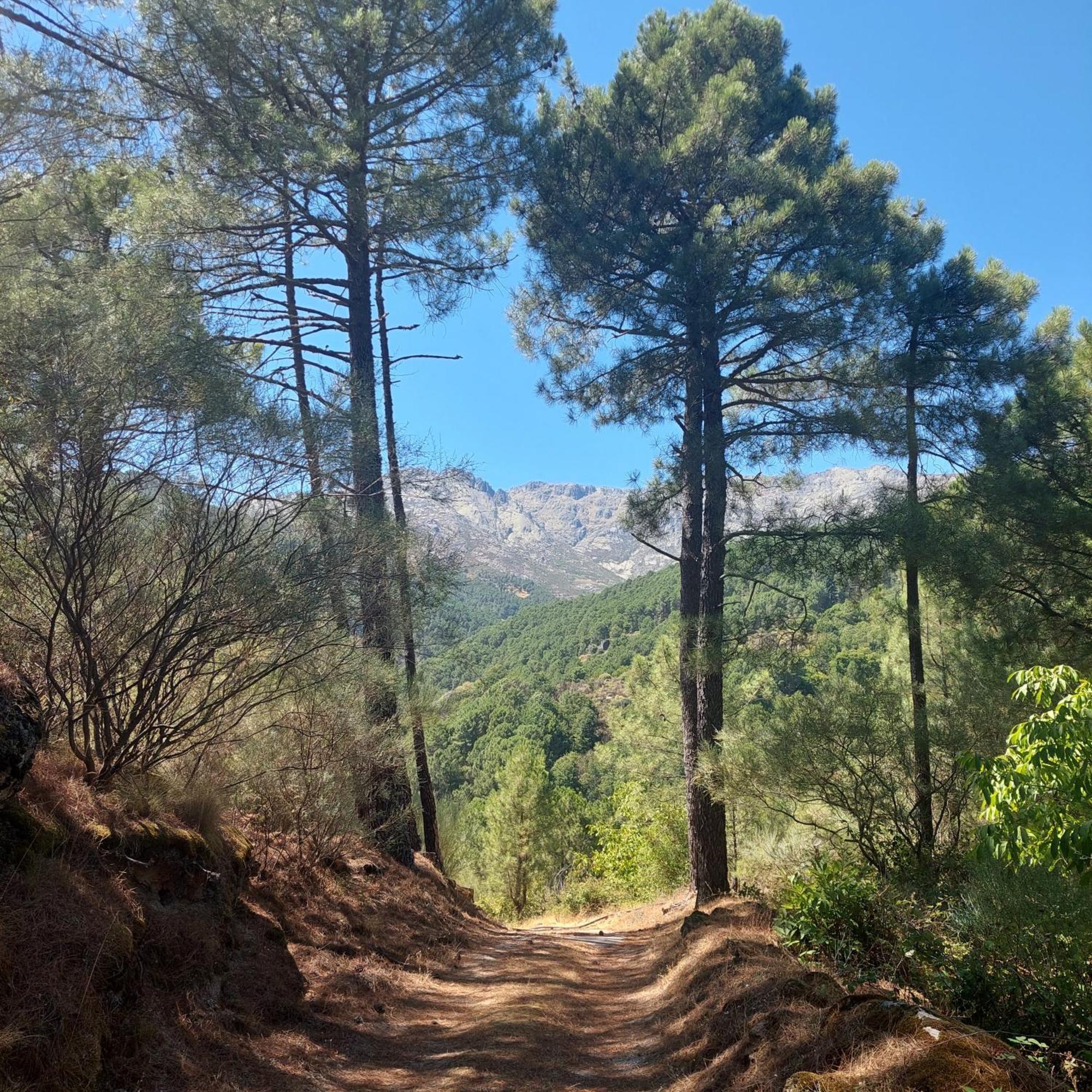 Hébergement de vacances Puente Canto De Gredos
